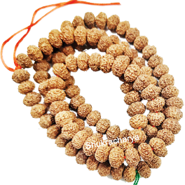 Natural 10 Mukhi Rudraksha Mala 108+1 Beads; Original & Certified